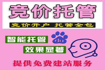揭秘百度推广费用：从零到一的营销策略
